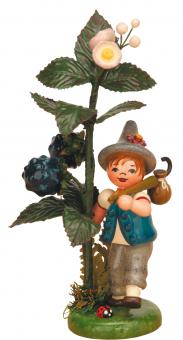 Hubrig Herbstkind Brombeere 