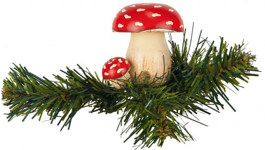 Hubrig Baumclipser Fliegenpilz Rarität 