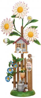 Hubrig Blumeninsel Edelweißmargerite Neu 2019 
