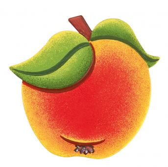 Hubrig Magnetpin Apfel Neu 2020 